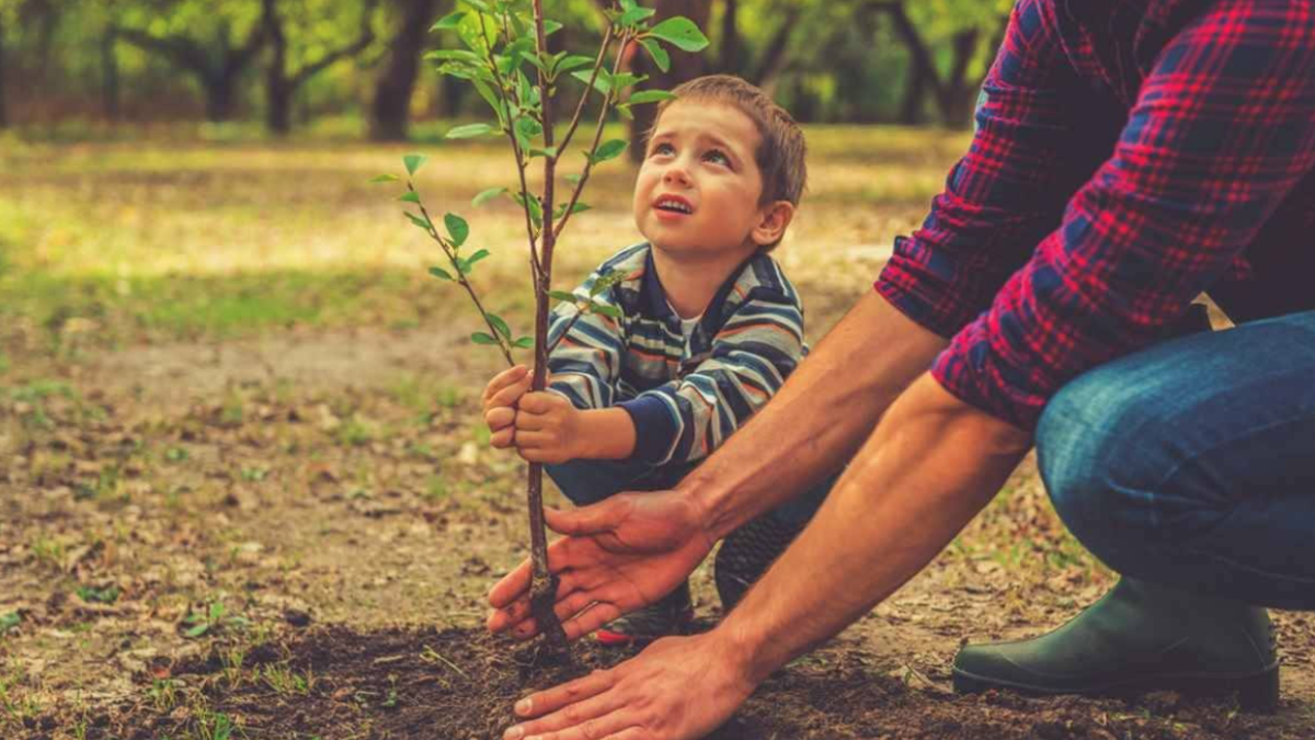 PANIERI: “Ora un albero per ogni nato nel 2021”