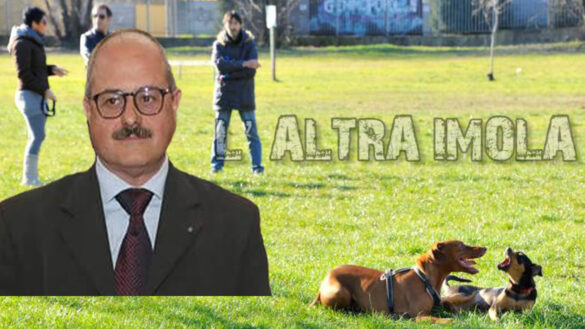 longhi aree cani