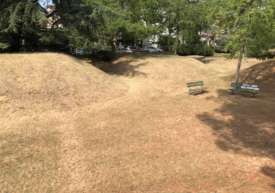 Bitelli (LEGA):Parco Donatori ripulito, segnalazioni sono contate”