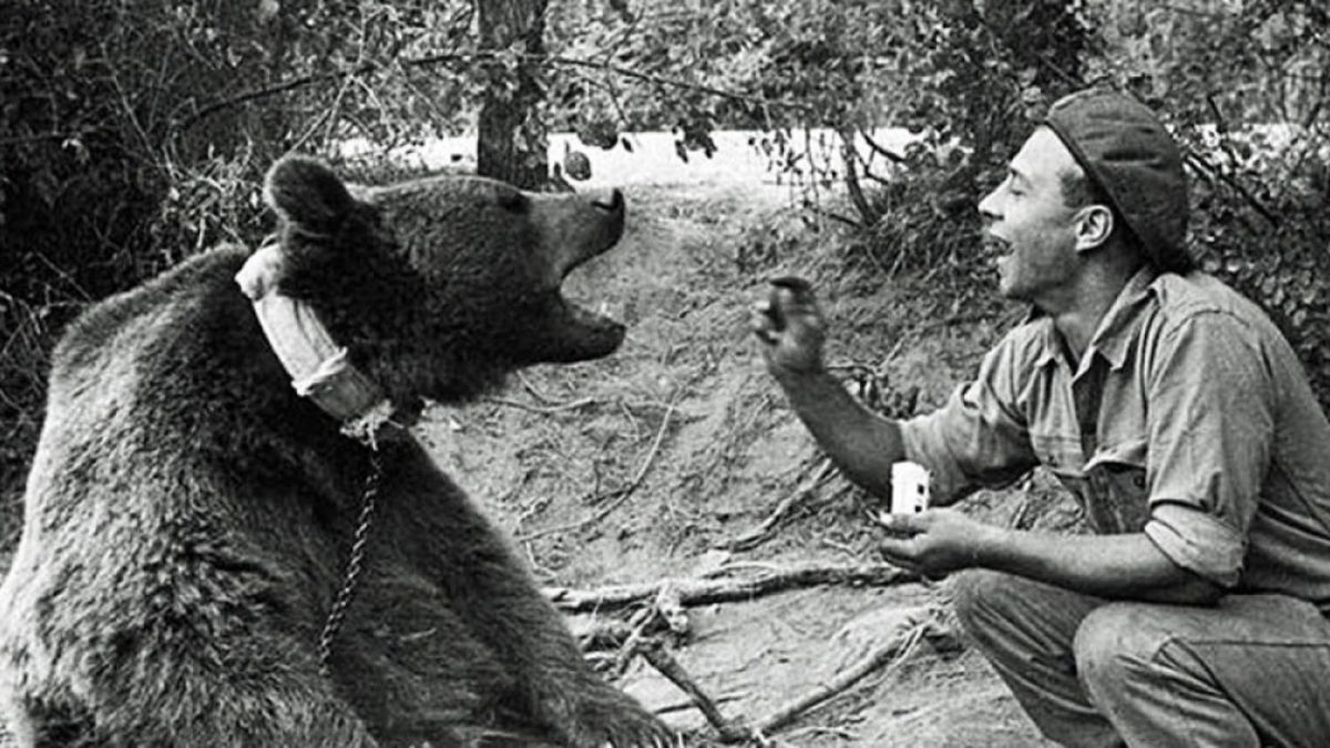 WOJTEK,l’ORSO dei POLACCHI che si fermò  a IMOLA