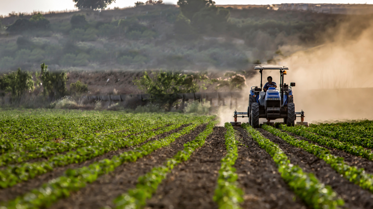 Agricoltura, raddoppia la quota del Comune a sostegno delle imprese