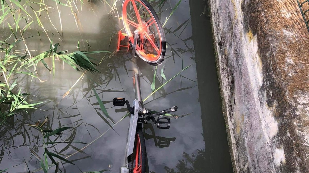 BICI MOBIKE GETTATA NEL CANALE DEI MOLINI