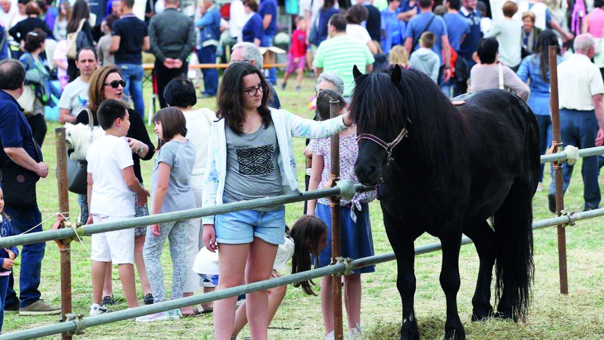 FIERA AGRICOLA DEL SANTERNO, SI PARTE: LA GUIDA ALL’EVENTO