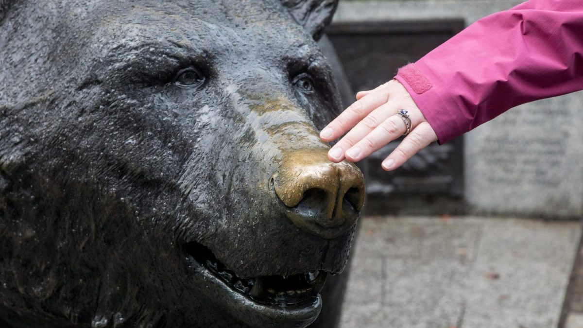 L’ORSO WOJTEK, SIMBOLO DELL’ARMATA POLACCA CHE LIBERÒ IMOLA