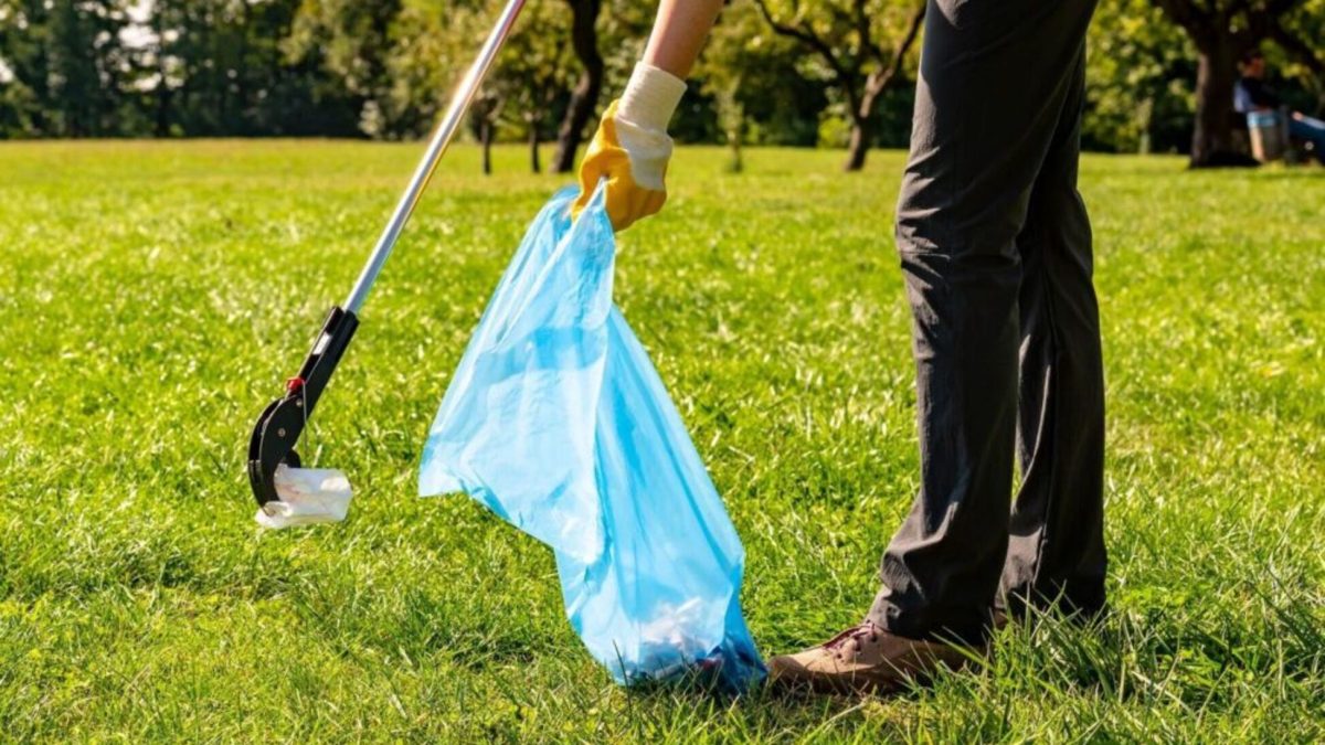 ACQUE,  PERCETTORI DEL REDDITO IMPIEGATI PER IL DECORO DEL PARCO