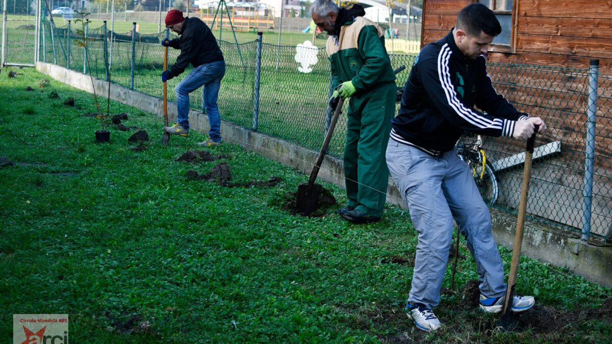 BAGNARA, IGNOTI RUBANO 17 ALBERELLI DAL CIRCOLO TENNIS