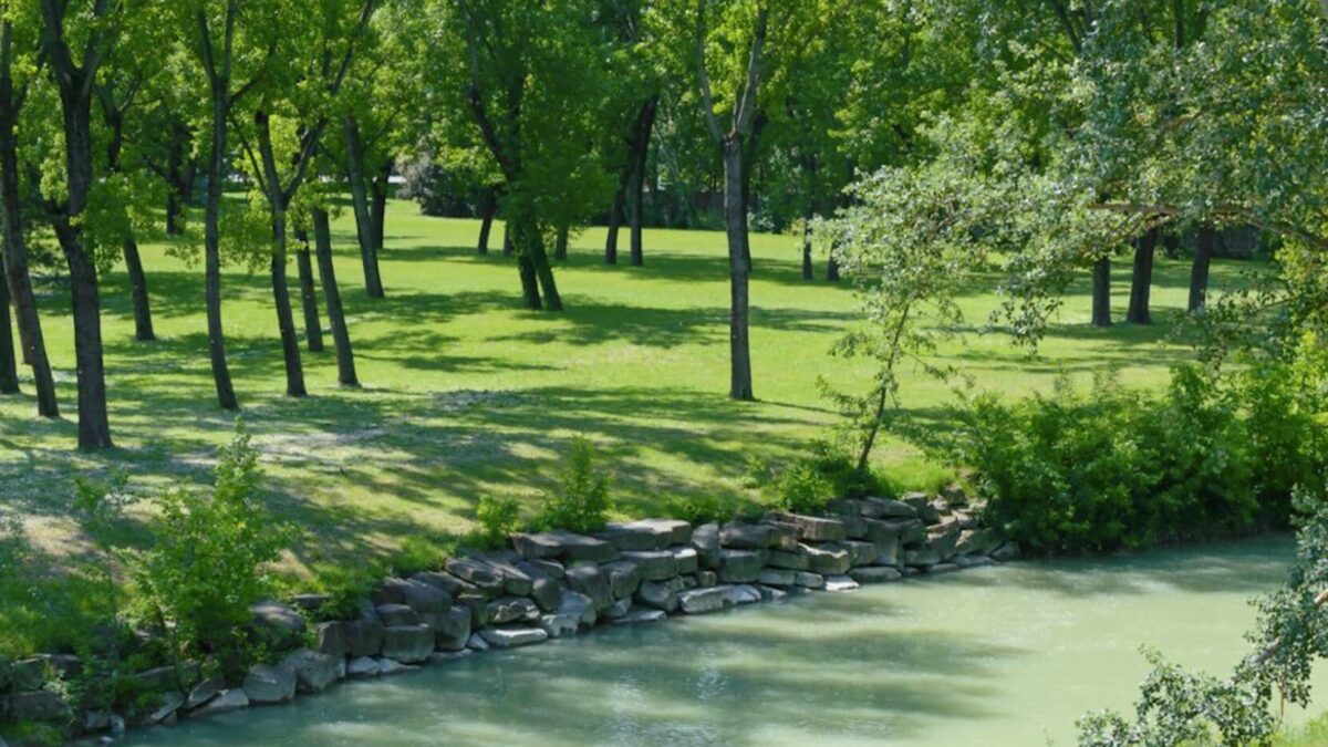 LUNGOFIUME: ENTRO IL 15 MARZO RIMOSSI UNA DECINA DI ALBERI PERICOLANTI