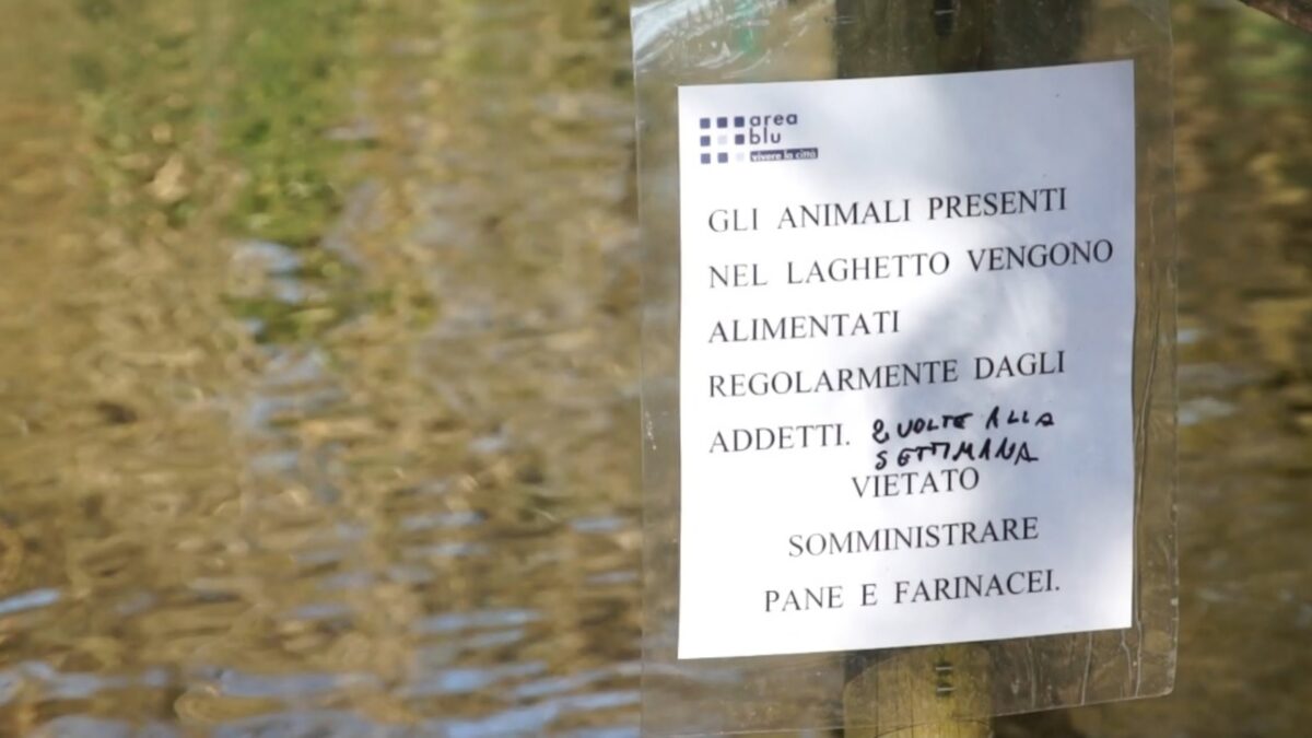 IL LAGHETTO DELLE ACQUE, EP. II: SPUNTANO I CARTELLI, POI SCOMPAIONO