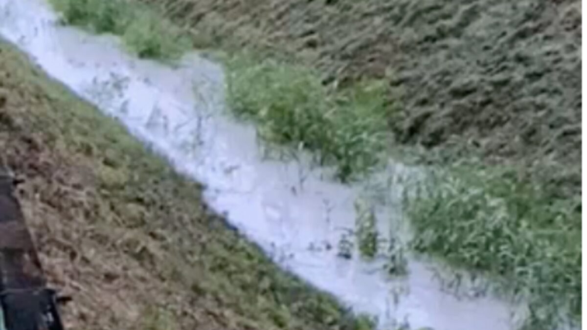 MORDANO, ACQUA LATTIGINOSA NEL CANALE