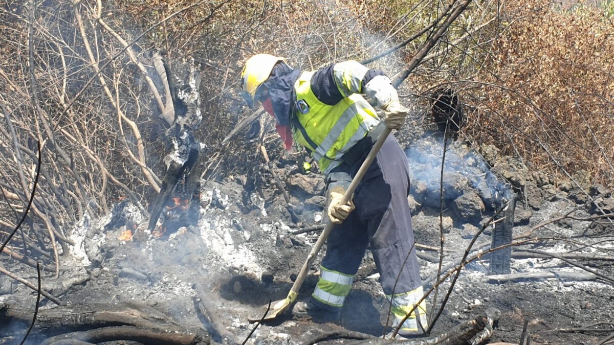 REGIONE E-R, SCATTATA LA “FASE DI ATTENZIONE” INCENDI