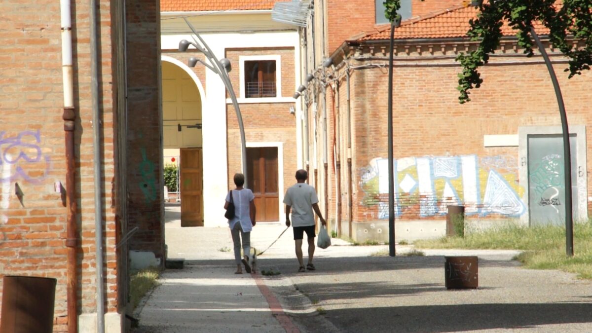 INCONTRI NELLA TERRA DEI MATTI