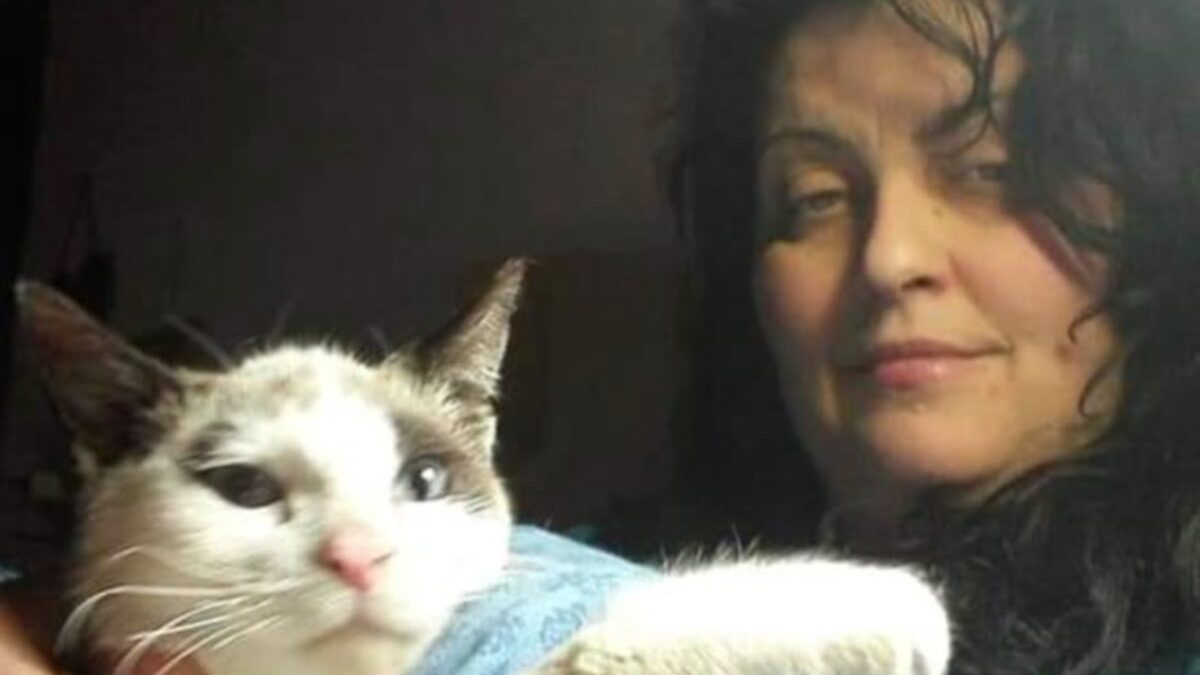 SENZA PIÙ UNA CASA “CERCO UN RIFUGIO PER ME E PER I MIEI GATTI MALATI”