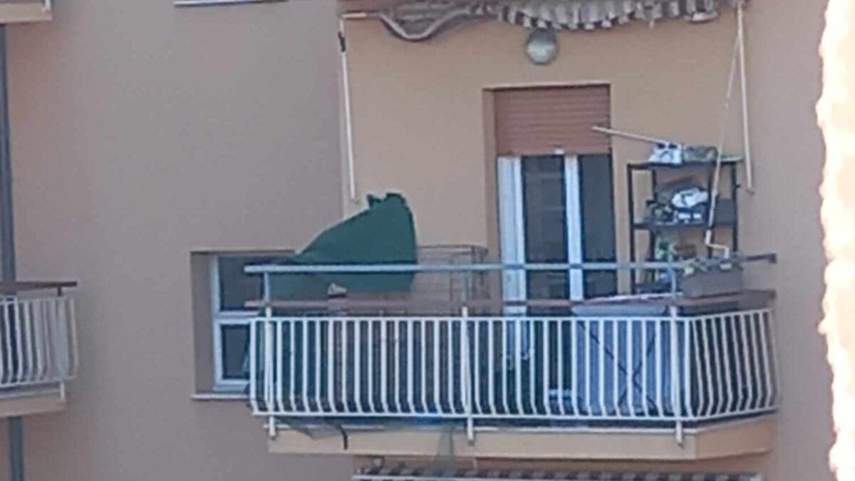 MULTATO PER IL CANE IN TERRAZZO, LO RIMETTE SUL BALCONE DENTRO A UN BOX