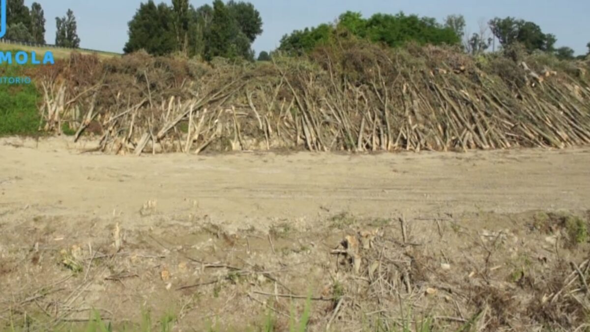 FIUMI, VIA LIBERA ALLA RACCOLTA DI LEGNAME PER I PRIVATI CITTADINI