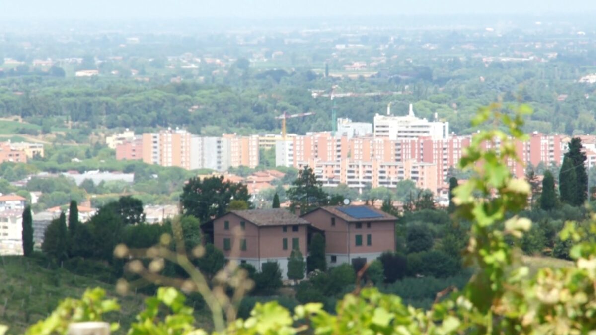 PEDAGNA, LA NASCITA DI UN QUARTIERE