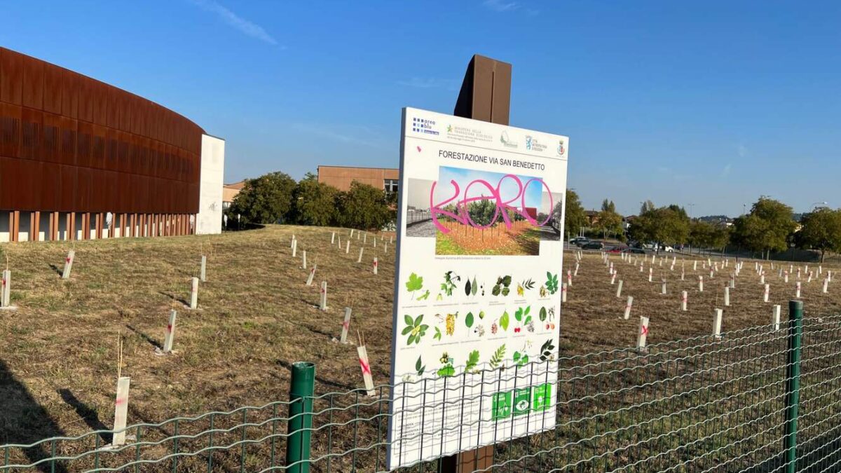 “BOSCO URBANO SECCO, SERVIVA PIÙ ATTENZIONE?”