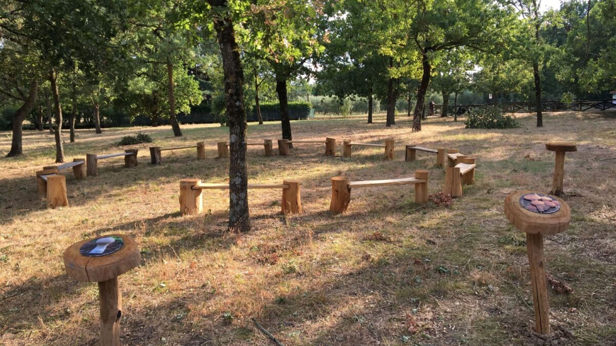 IL BOSCO DELLA FRATTONA SI RINNOVA