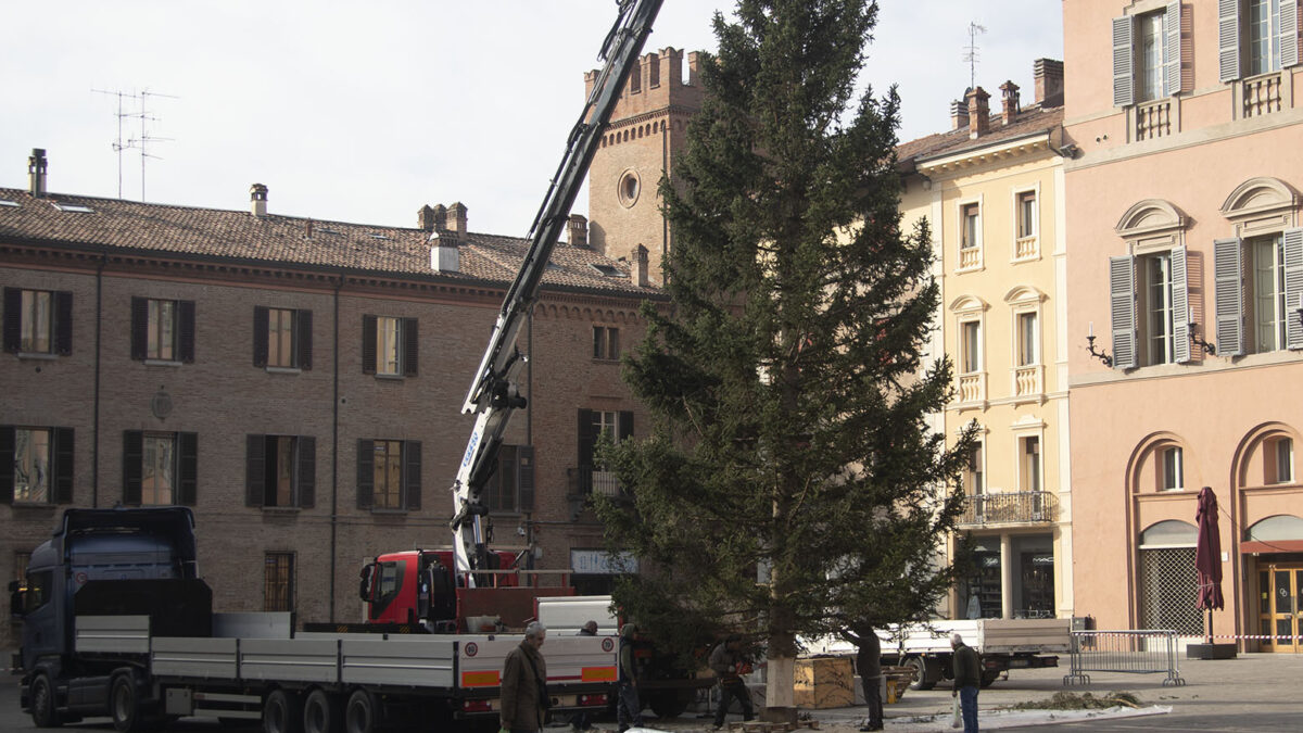 AL CENTRO DI PIAZZA MATTEOTTI SVETTA L’ALBERO DI NATALE