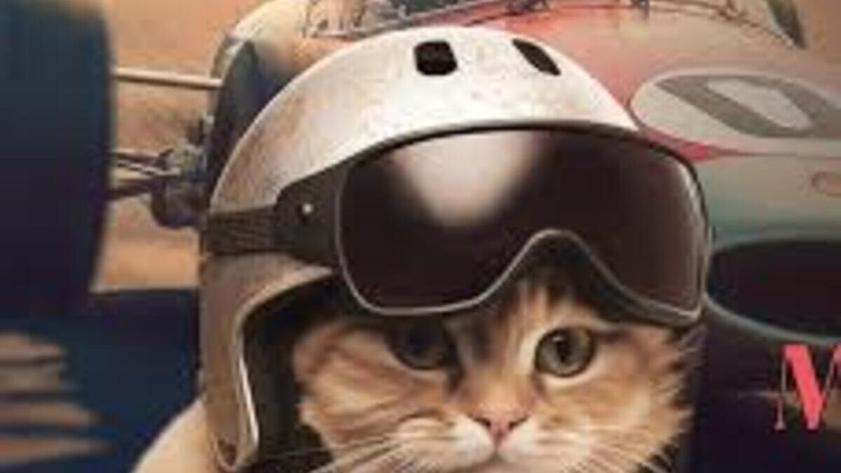 MOSTRA FELINA, IN AUTODROMO ARRIVA “GATTI A TUTTO GAS”