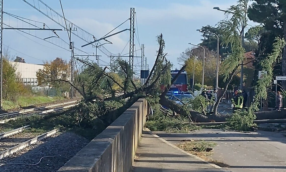 VIA PAMBERA, ALBERO CADE SUI BINARI, DISAGI ALLA CIRCOLAZIONE TRENI