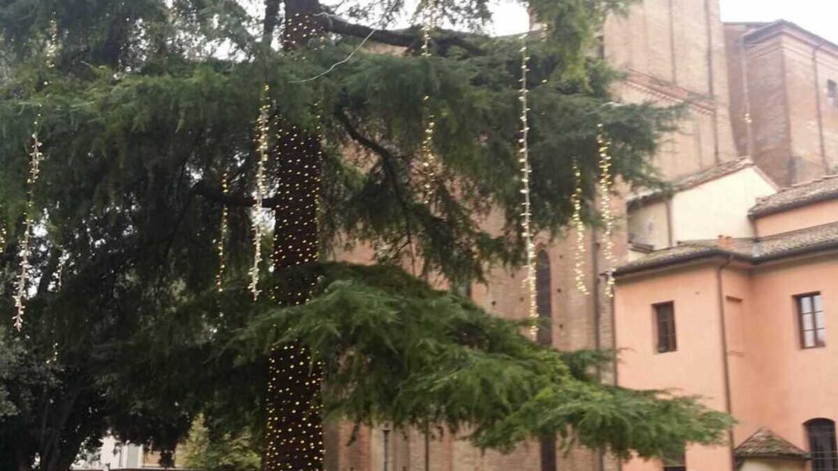 GIARDINI RAMBALDI, LUMINARIE OGGETTO DI VANDALISMO “SERVONO TELECAMERE”