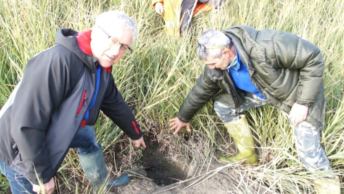 SPAZZATE, IL COMITATO “TROPPE TANE NELL’ARGINE DEL SILLARO”