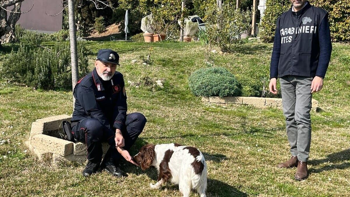 LIETO FINE PER GIADA, LA CAGNOLINA ABBANDONATA IN UN’AUTO