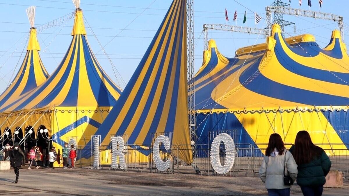 IMOLA: TORNA IL CIRCO CON ANIMALI, COSA DICE LA LEGGE