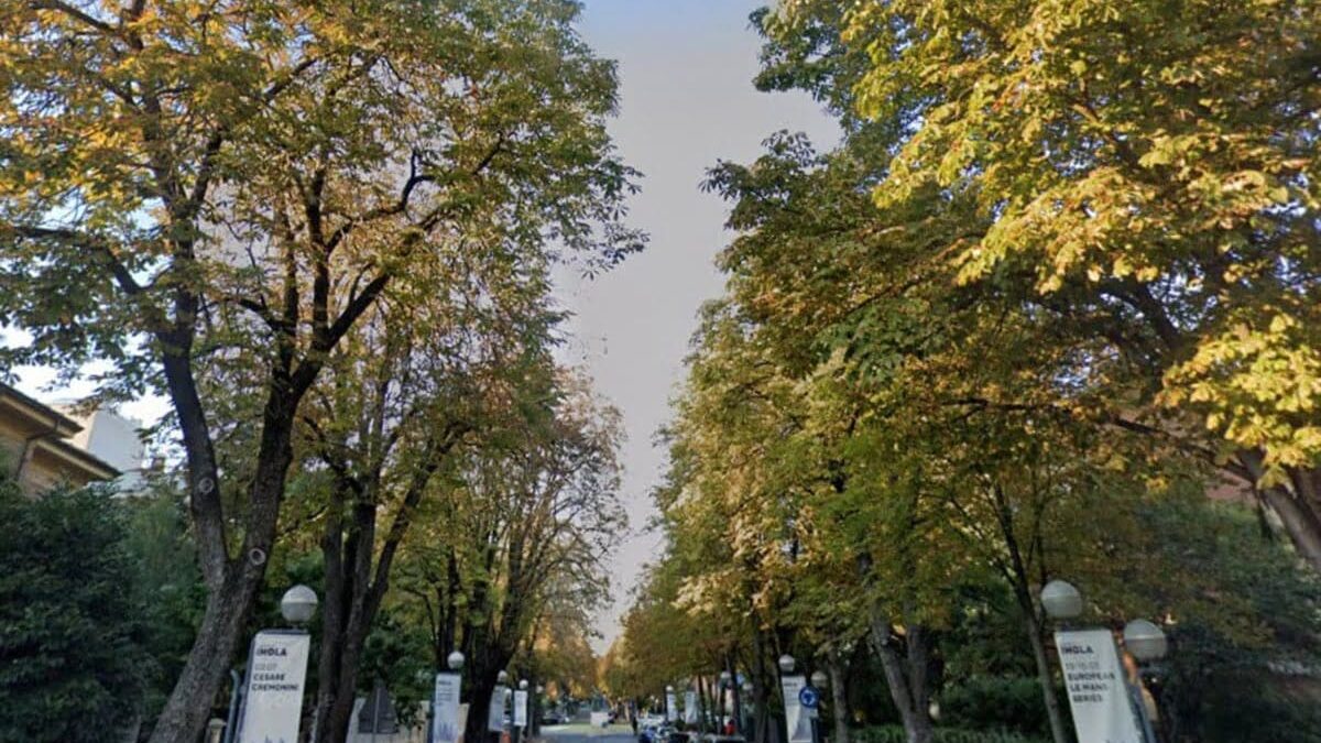 “DIAMO PIÙ SPAZIO AGLI ALBERI PER RAFFREDDARE LE CITTÀ”