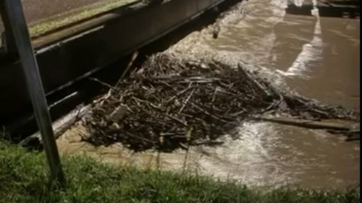 Casale, il monito di Forza Italia “Corsi d’acqua siano più curati”