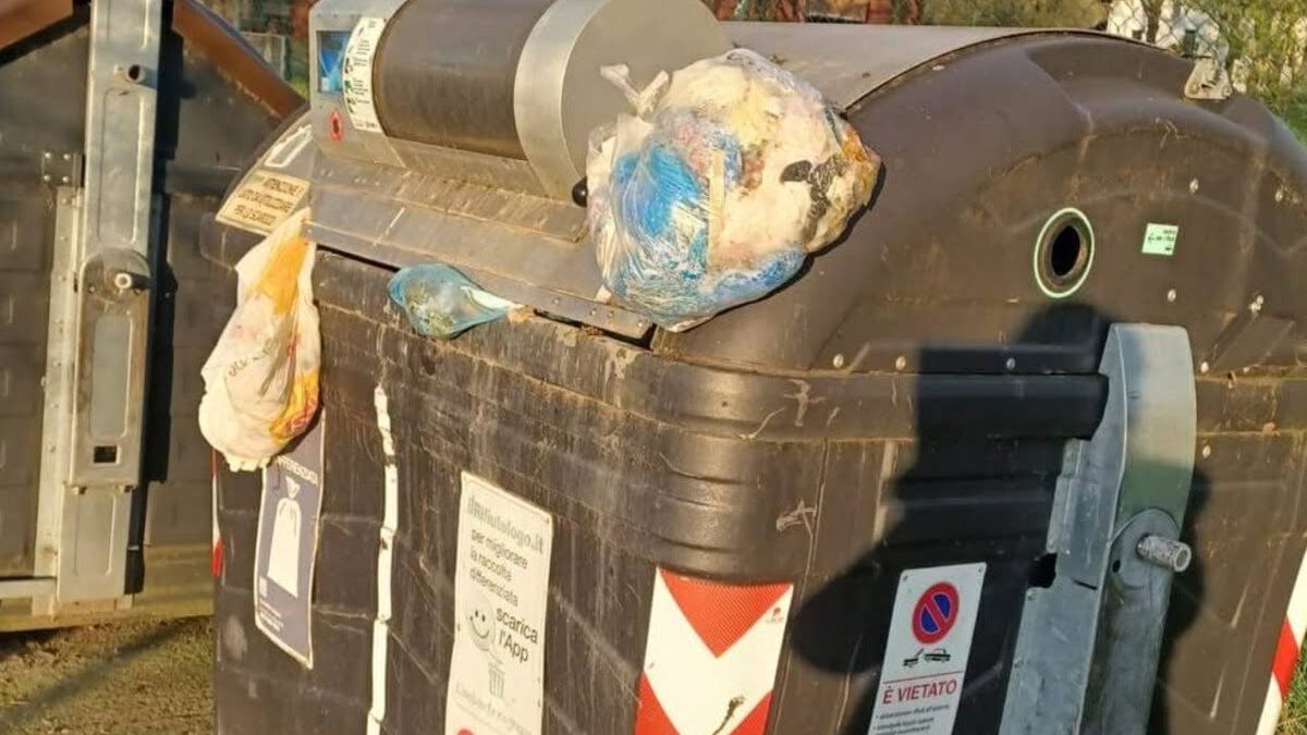 Raccolta rifiuti, Carapia “Servizio inqualificabile e inaccettabile”