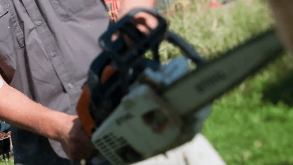 Bagnara, mesi di vessazioni della baby gang: disabile esce con la motosega. Il sindaco: «Tragedia sfiorata»