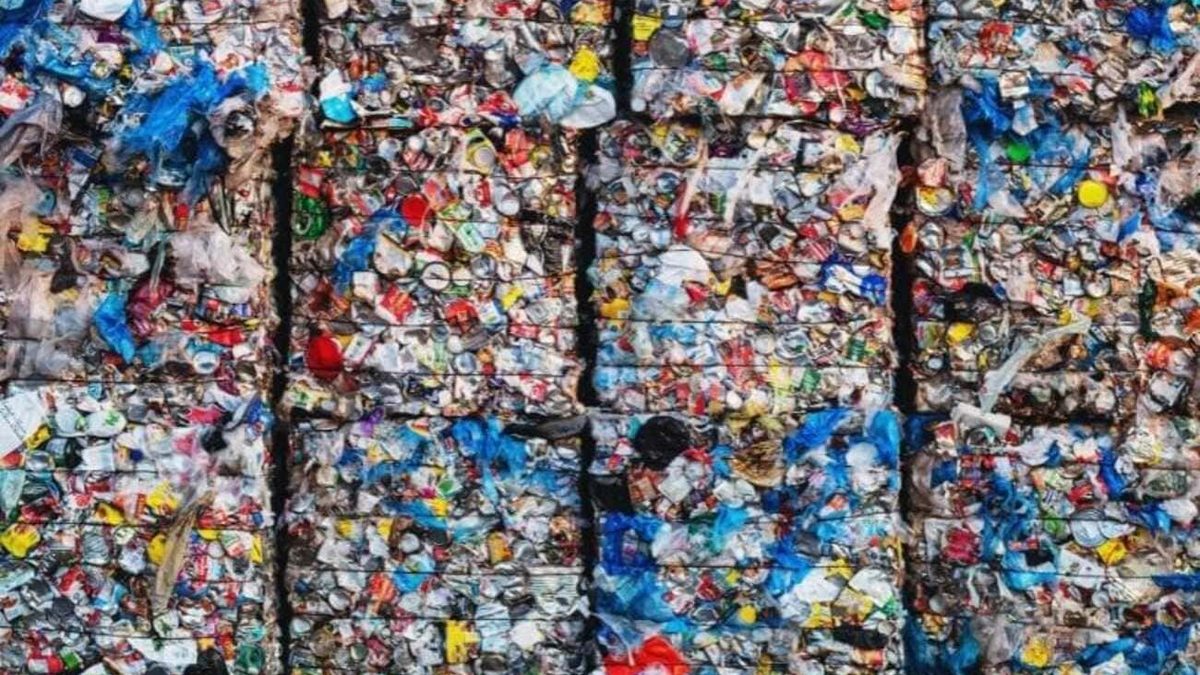 “A Rimini e Cesena la plastica che mezzo milione di persone separa nel sacco giallo finisce incenerita”